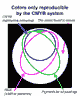 fig #10