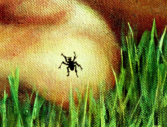 The Fly
