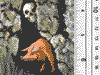 The Skull and The Pig