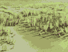The Grass - Right Side - Zoom #2